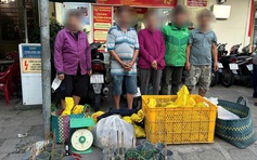 Công an TP.HCM điều tra đường dây tiêu thụ chó, mèo không rõ nguồn gốc