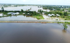 Đường tránh Cao Lãnh xuyên qua cánh đồng mùa nước nổi sắp hoàn thành