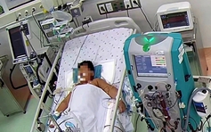 Hiểm họa ít biết từ sốt xuất huyết: Hội chứng thực bào máu khiến trẻ nguy kịch