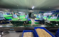 Những quy định tréo ngoe chờ tháo gỡ