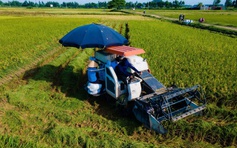 Hà Nội muốn chi gần 900 tỉ đồng/năm hỗ trợ chính sách phát triển nông nghiệp, nông thôn