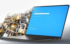 Người dùng Windows 11 mất 3 TB dữ liệu vì BitLocker 'gây họa'