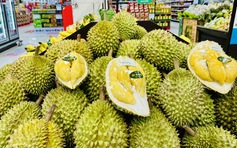 Sầu riêng tăng vọt, xuất khẩu rau quả sẽ lập kỳ tích mới