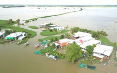 Mùa nước nổi với những lo âu của người dân vùng Đồng Tháp Mười