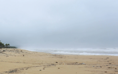 Chìm tàu hàng chở gần 6.000 tấn xi măng ngoài khơi TP.Huế