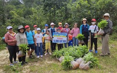 Phủ xanh yêu thương