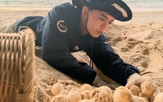 Chạm vào hơi thở đại dương: Hành trình bảo tồn rùa biển của chàng trai Tây Ninh