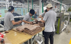 Còn 3 tháng nữa là tết, có nên nghỉ việc?