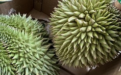 Lên lộ trình cấm thuốc trừ sâu ở Việt Nam