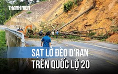 Sạt lở đèo D'Ran trên quốc lộ 20: Ngổn ngang đất đá, cây cối