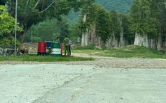 Buộc thôi việc Chi cục trưởng Chi cục Kiểm lâm Gia Lai