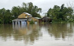 Những cuộc gọi ngắt quãng và nỗi bất an khi quê nhà chìm trong nước lũ