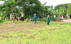 Quảng Ngãi: Phát hiện thi thể dưới giếng giữa ruộng hành