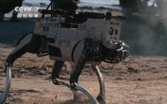 Trung Quốc mô phỏng dùng chó robot đổ bộ Đài Loan, kết quả ra sao?