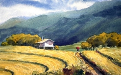 Bí mật vẻ đẹp mê hồn ruộng bậc thang Mù Cang Chải