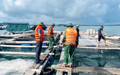 Hải Phòng, Quảng Ninh cấm biển ứng phó bão số 11 (bão Matmo)