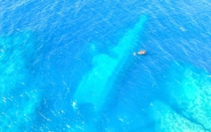 Tàu hải quân bị chìm, New Zealand còn phải bồi thường cho Samoa