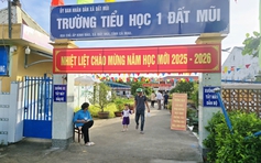 Cà Mau giữ nguyên mức thu dịch vụ giáo dục ngoài học phí sau sáp nhập