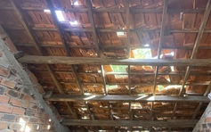 Liên tiếp động đất ở Quảng Ngãi: Trường học hư hỏng, phải chuyển chỗ ở học sinh