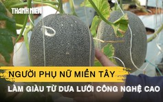 Người phụ nữ miền Tây làm giàu từ dưa lưới công nghệ cao
