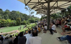 Người Việt xê dịch và kinh tế Việt Nam