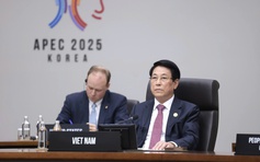 APEC cần phát huy vai trò tiên phong trong quản trị kinh tế số và AI