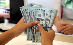Giá USD hôm nay 14.11.2025: Đô la tự do giảm