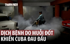 Cuba trong tình thế ‘nghiêm trọng’ như thời Covid-19 vì dịch bệnh do muỗi gây ra