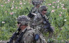 Chiến dịch tuyệt mật của CIA ở Afghanistan