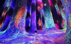 Du khách Việt ngỡ ngàng bước vào 'thế giới siêu thực' ở Abu Dhabi