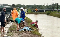 Cà Mau: 2 người bị sét đánh tử vong tại vuông tôm