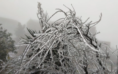 Đón không khí lạnh cực mạnh, miền Bắc rét 6 ngày, vùng núi dưới 5 độ C