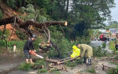 Sạt lở đèo Khánh Lê, đèo Ngoạn Mục: CSGT Lâm Đồng giải cứu nhiều người trong đêm