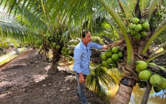 Mặt hàng nào sẽ hưởng lợi khi Mỹ miễn thuế đối ứng?