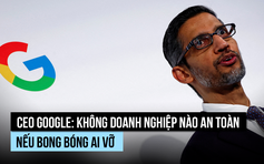 CEO Google: Nếu bong bóng AI vỡ, không doanh nghiệp nào 'lành lặn'