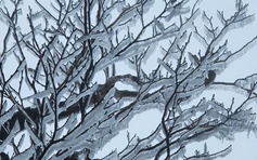 Băng giá xuất hiện trên đường lên đỉnh Tà Xùa