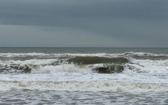 Quảng Ngãi: Biển động rất mạnh, tuyến Sa Kỳ - Lý Sơn tạm dừng hoạt động