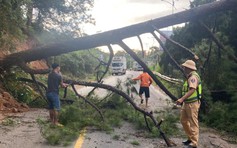 Thông cổ thụ bật gốc, QL27 nối Đà Lạt - Phan Rang ách tắc 2 giờ