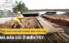 Độc đáo chợ nổi không bán trái cây mà bán củi ở miền Tây