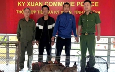 Ăn nhậu xong rủ nhau đi bắt trộm 24 con gà