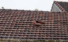 Biển nước phủ kín Đắk Lắk: Những khoảnh khắc ngập sâu khiến ai chứng kiến cũng nghẹn lại