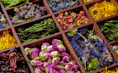 Top 5 thảo dược giải cứu làn da hồng ban do mụn viêm dễ tìm