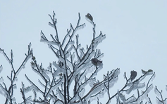 Không khí lạnh mới đang về, miền Trung tiếp tục đón đợt mưa lớn