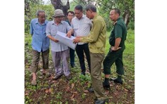 Chung mạch ngầm cảm xúc của 'Sống đẹp'