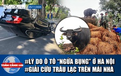 Toàn cảnh 17h: Bất ngờ lý do ô tô ‘ngửa bụng’ ở Hà Nội | Bộ đội vất vả cứu trâu đứng trên mái nhà