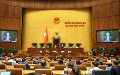 6 điều kiện được về Việt Nam tiếp tục chấp hành án phạt tù