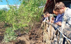 Hải Phòng điểm đến bốn mùa với sức hút không thể chối từ