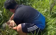 TP.HCM: Đi nhặt ve chai, phát hiện trẻ sơ sinh bị bỏ rơi ở bãi đất trống