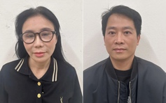 Vợ chồng Giám đốc Thẩm mỹ viện Mailisa tự nguyện nộp 300 tỉ khắc phục hậu quả