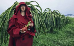 Lần đầu tiên trái thanh long 'bước vào' thời trang